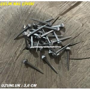 NATAŞ ÇELİK NAL ÇİVİSİ 1 KALİTE AT NALI ÇİVİSİ KAPALI NAL ÇİVİSİ 30 ADET 37MM